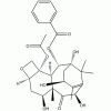 10-脫乙?；涂ǘ?III CAS 32981-86-5